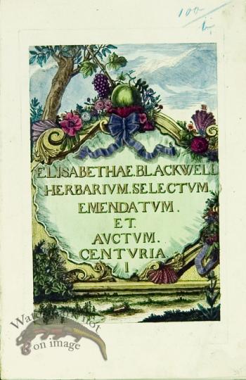 Blackwell German 170